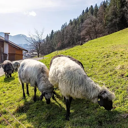 Nachtschatt Fügen